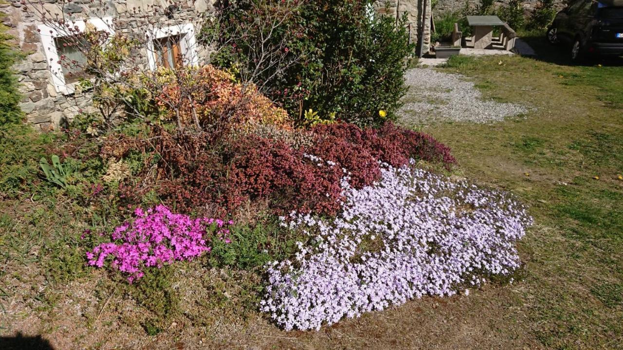 Casa Delle Rose Teglio Exterior foto