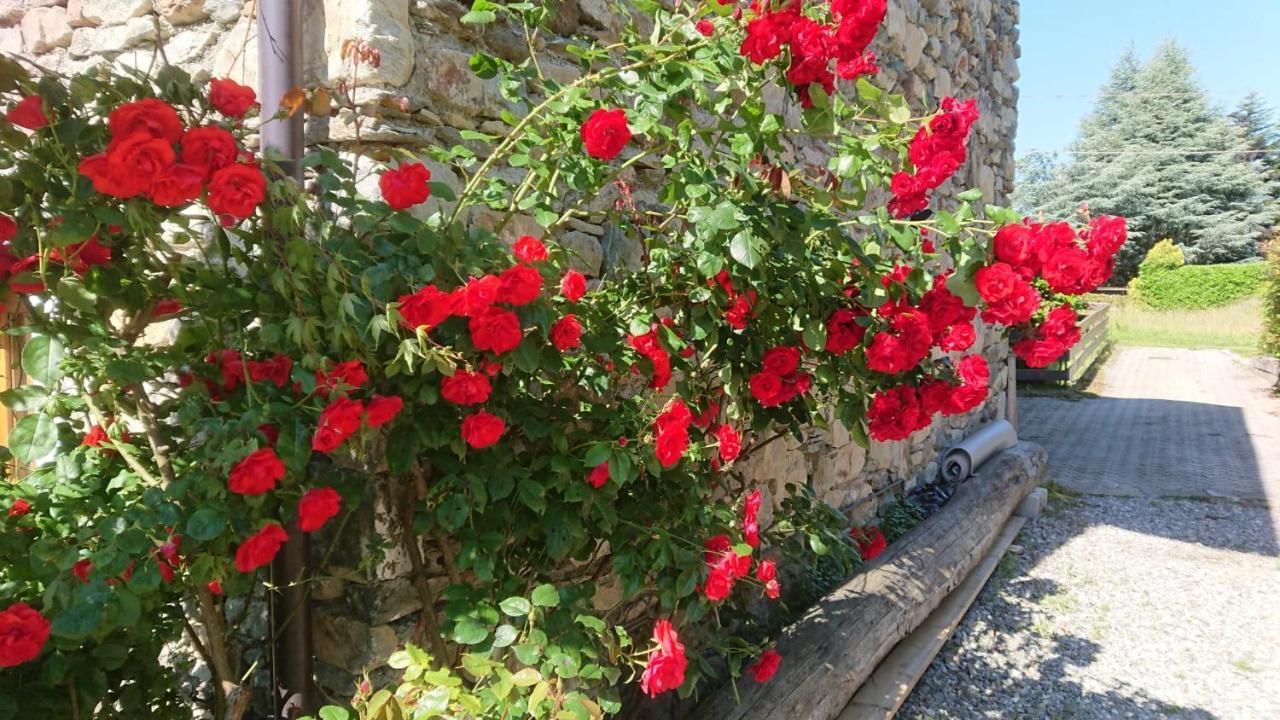 Casa Delle Rose Teglio Exterior foto