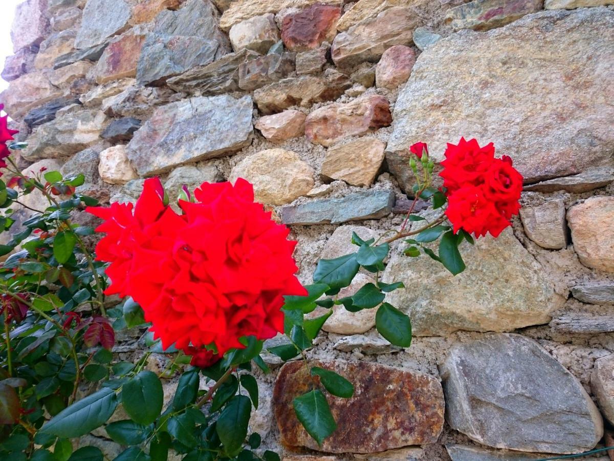 Casa Delle Rose Teglio Exterior foto